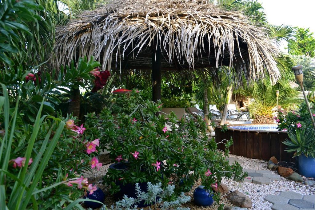Bananas Apartments Adults Only Palm Beach Exterior foto