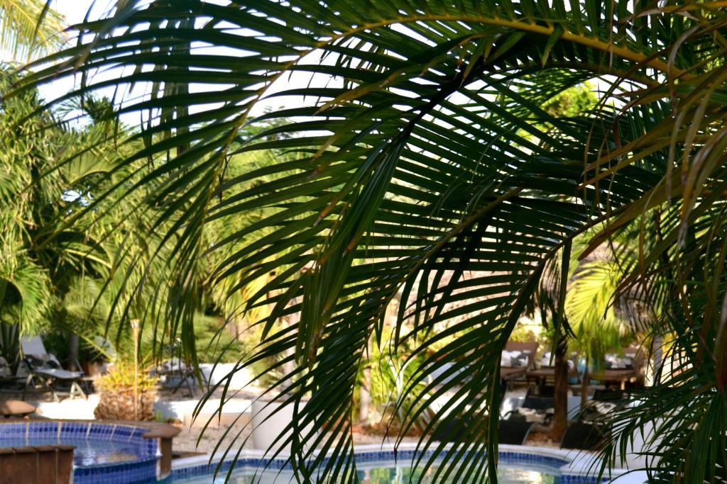 Bananas Apartments Adults Only Palm Beach Exterior foto