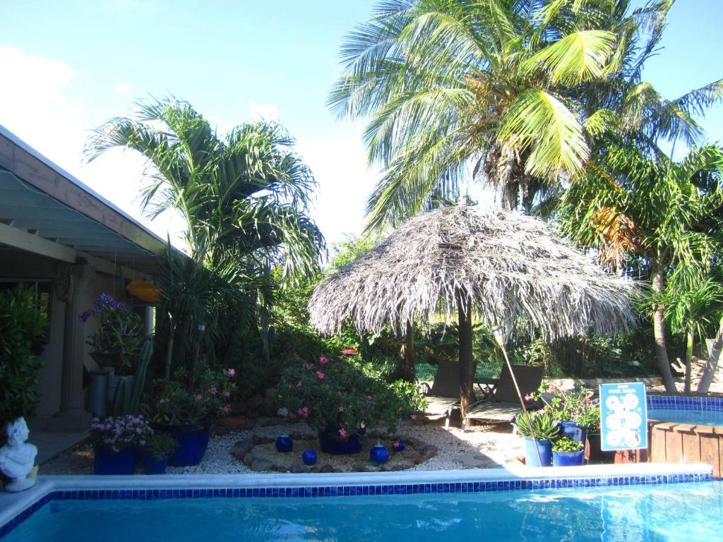 Bananas Apartments Adults Only Palm Beach Exterior foto